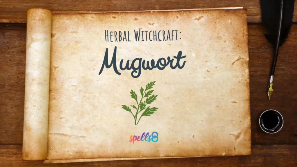 Mugwort herb bundle for smudging and divination in witchcraft practices.